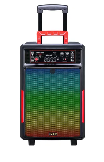 Ready Goods 15 Inch Portable Bluetooth Trolley Rechargeable Speaker with Fire Lights 