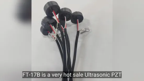 Factory Direct Piezo Ceramic Straight/Angle Probe Digital Ultrasonic Sensor/Transducer with Silicone Cable
