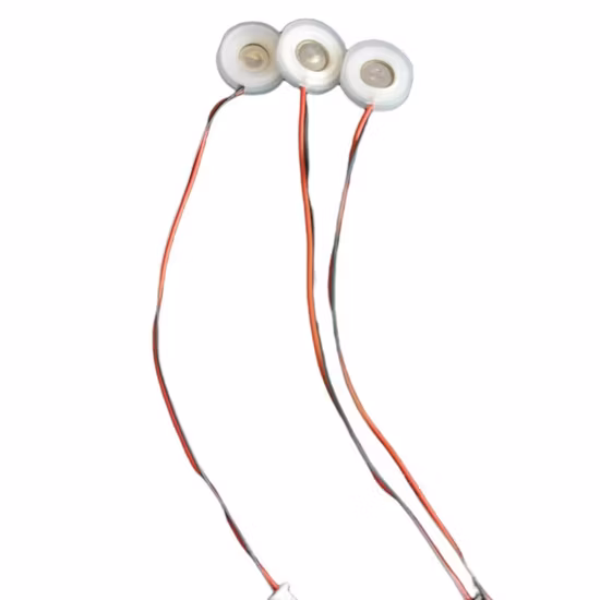 Piezo Ultrasonic Atomizer Transducer Corrosion and Acid Resistance Hnya20